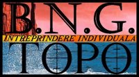 BNG INTREPRINDERE INDIVIDUALA 12296
